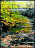 Color, Composition, and Light in the Landscape by S. Allyn Schaeffer: Book Cover