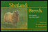 Shetland Breeds: 'Little Animals... Very full of Spirit' Ancient Endangered and Adaptable