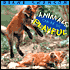 Animals Can Be so Playful