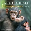 2011 Chimpanzees Wall Calendar
