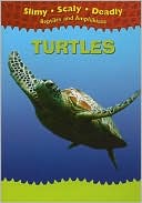 download Turtles book