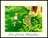 Les Fleurs Blanches
