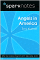 Angels in America (SparkNotes Literature Guide Series)