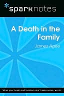 A Death in the Family (SparkNotes Literature Guide Series)