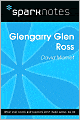 Glenngarry Glen Ross (SparkNotes Literature Guide Series)