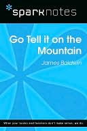 download Go Tell it on the Mountain (SparkNotes Literature Guide Series) book