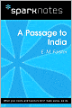 A Passage to India (SparkNotes Literature Guide Series)