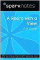 A Room with a View (SparkNotes Literature Guide Series)