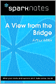 A View from the Bridge (SparkNotes Literature Guide Series)
