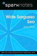 Wide Sargasso Sea (SparkNotes Literature Guide Series)