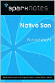 Native Son (SparkNotes Literature Guide Series)