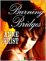 Burning Bridges