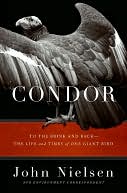 Condor: To the Brink and Back--the Life and Times of One Giant Bird
