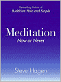 Meditation Now or Never
