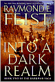 Into a Dark Realm (Darkwar Saga Series #2)