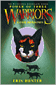 Long Shadows (Warriors: Power of Three Series #5)