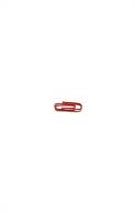 download One Red Paperclip : Or How an Ordinary Man Achieved His Dream with the Help of a Simple Office Supply book