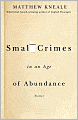 Small Crimes in an Age of Abundance