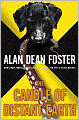The Candle of Distant Earth (Taken Trilogy Series #3)