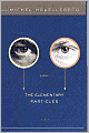 Elementary Particles