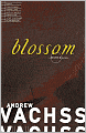 Blossom (Burke Series #5)