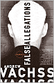 False Allegations (Burke Series #9)