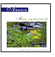 Adagio: Music for Relaxation by Peter Davison: CD Cover