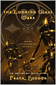 The Looking Glass Wars (Looking Glass Wars #1)