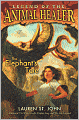 The Elephant's Tale
