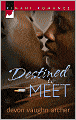 Destined to Meet (Kimani Romance Series #96)