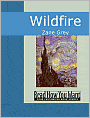 Wildfire