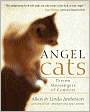 Angel Cats: Divine Messengers of Comfort