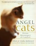 Angel Cats by Allen Anderson: NOOK Book Cover