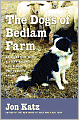 Dogs of Bedlam Farm: An Adventure with Sixteen Sheep, Three Dogs, Two Donkeys, and Me