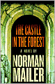 Castle in the Forest
