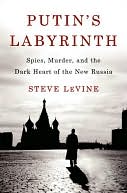 Putin's Labyrinth: Spies, Murder, and the Dark Heart of the New Russia