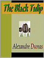The Black Tulip