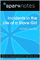 Incidents in the Life of a Slave Girl (SparkNotes Literature Guide Series)