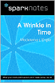 A Wrinkle in Time (SparkNotes Literature Guide Series)