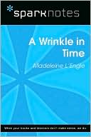 A Wrinkle in Time (SparkNotes Literature Guide Series)