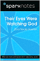 Their Eyes Were Watching God (SparkNotes Literature Guide Series)