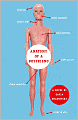 Anatomy of a Boyfriend