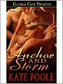 Anchor and Storm