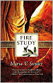 Fire Study