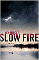 Slow Fire (Will Magowan Series #1)