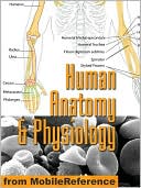 Human Anatomy and Physiology Study Guide