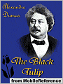 The Black Tulip