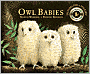 Owl Babies: Candlewick Storybook Animations