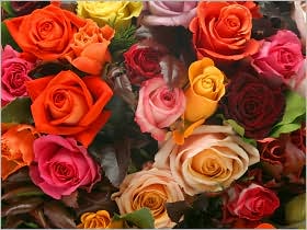 A Rosy Bunch - 1000 piece...
