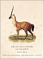 The Natural History of Unicorns